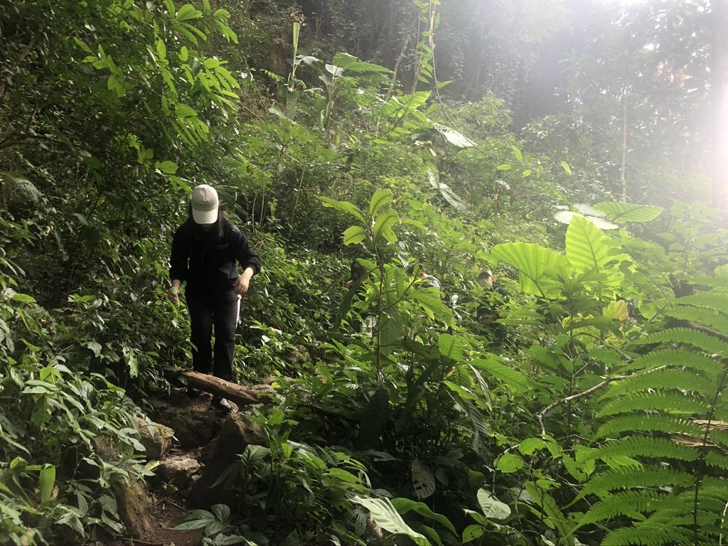 Me hiking in the Xishuangbanna rainforest